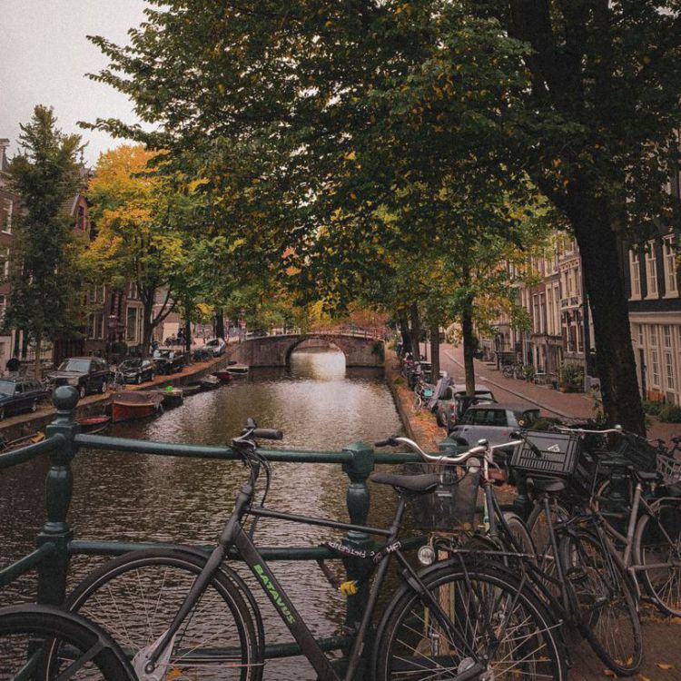 amsterdam y brujas viajes de estudiantes